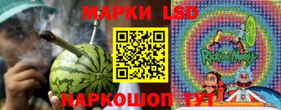 PSILOCYBIN Тула