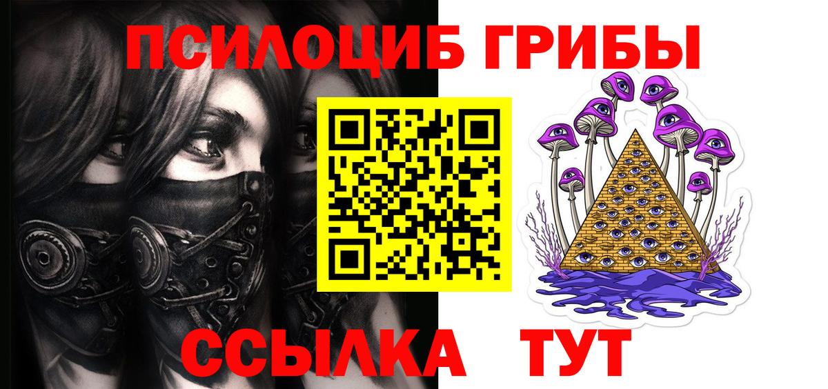 Галлюциногенные грибы MAGIC MUSHROOMS Будённовск