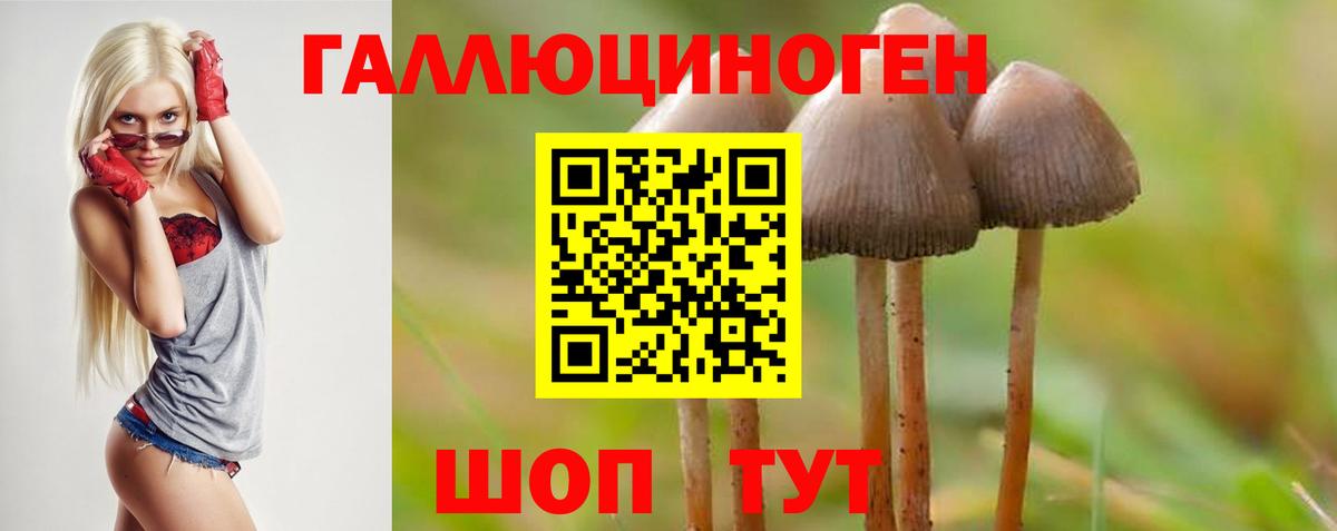 Галлюциногенные грибы GOLDEN TEACHER  Вход с VPN  Будённовск  Галлюциногенные грибы MAGIC MUSHROOMS 